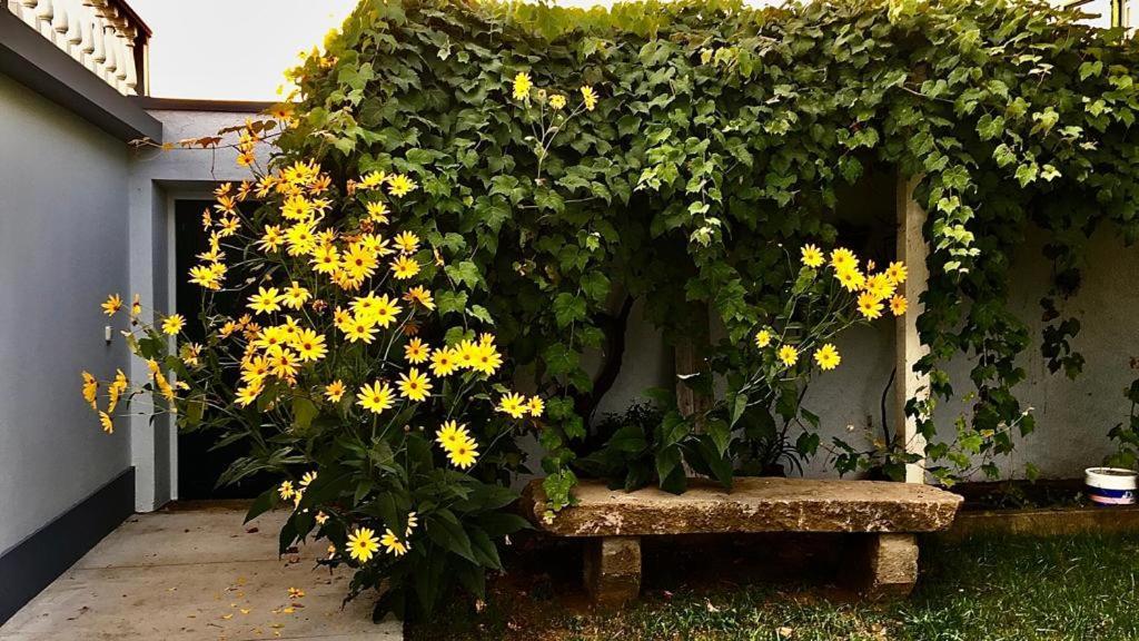 فيلا Casa As Nove أنغرا دو إِراويزو المظهر الخارجي الصورة